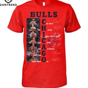 Chicago Bulls Men Basketball Signature Unisex T-Shirt