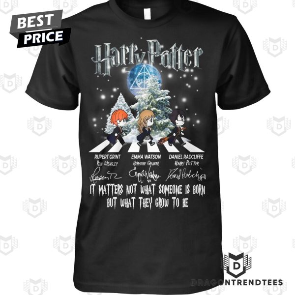 Harry Potter It Matters Not What Someone Is Born, But What They Grow To Be Unisex T-Shirt