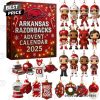 2025 Arizona Cardinals 127th Anniversary Advent Calendar