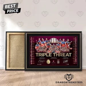 Brisbane Lions Triple Threat AFL Premiers Commemorative Sports Memorabilia Framed Canvas Wall Art